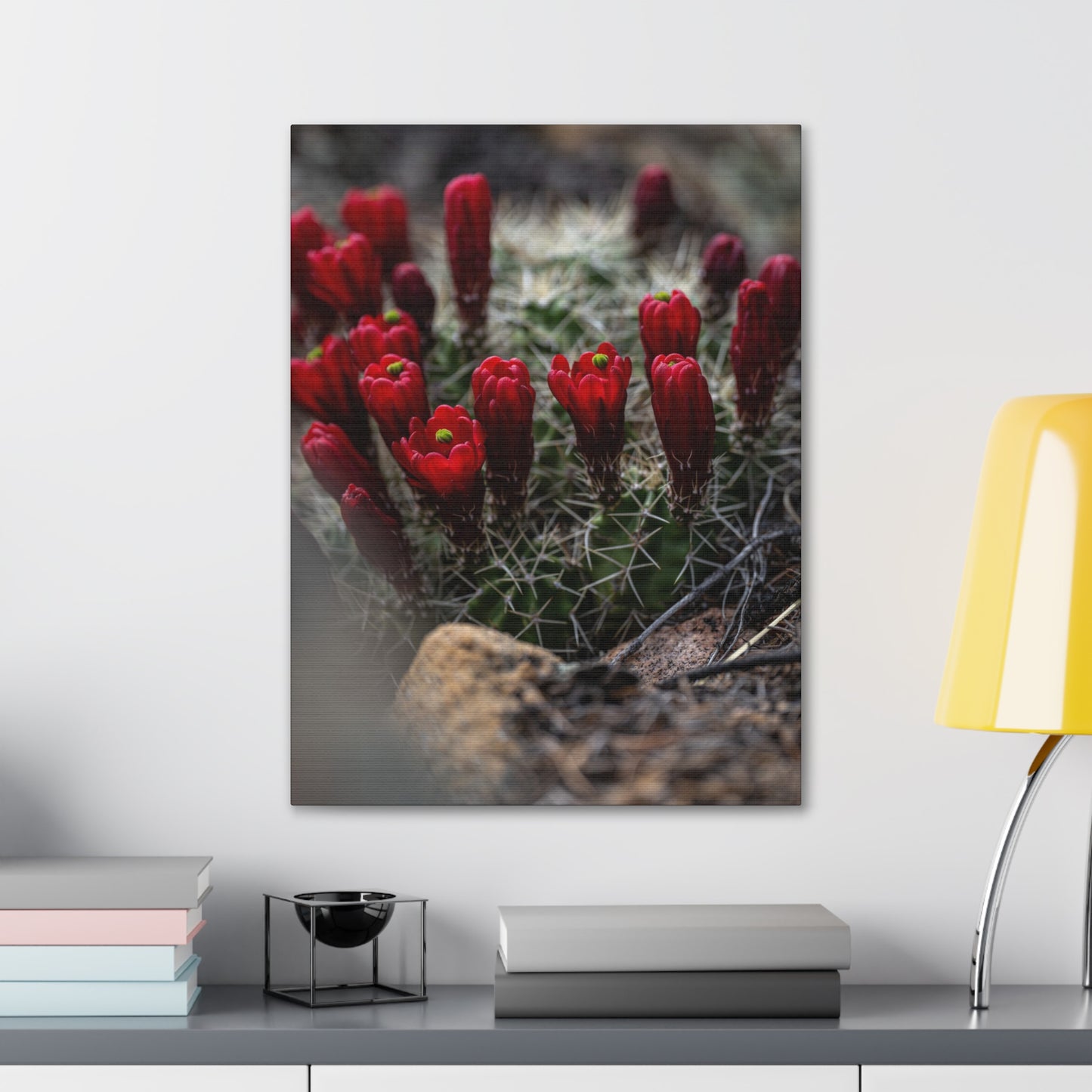 Claret Cup Hedghog Barrel Catus Flowers - Canvas Gallery Wraps