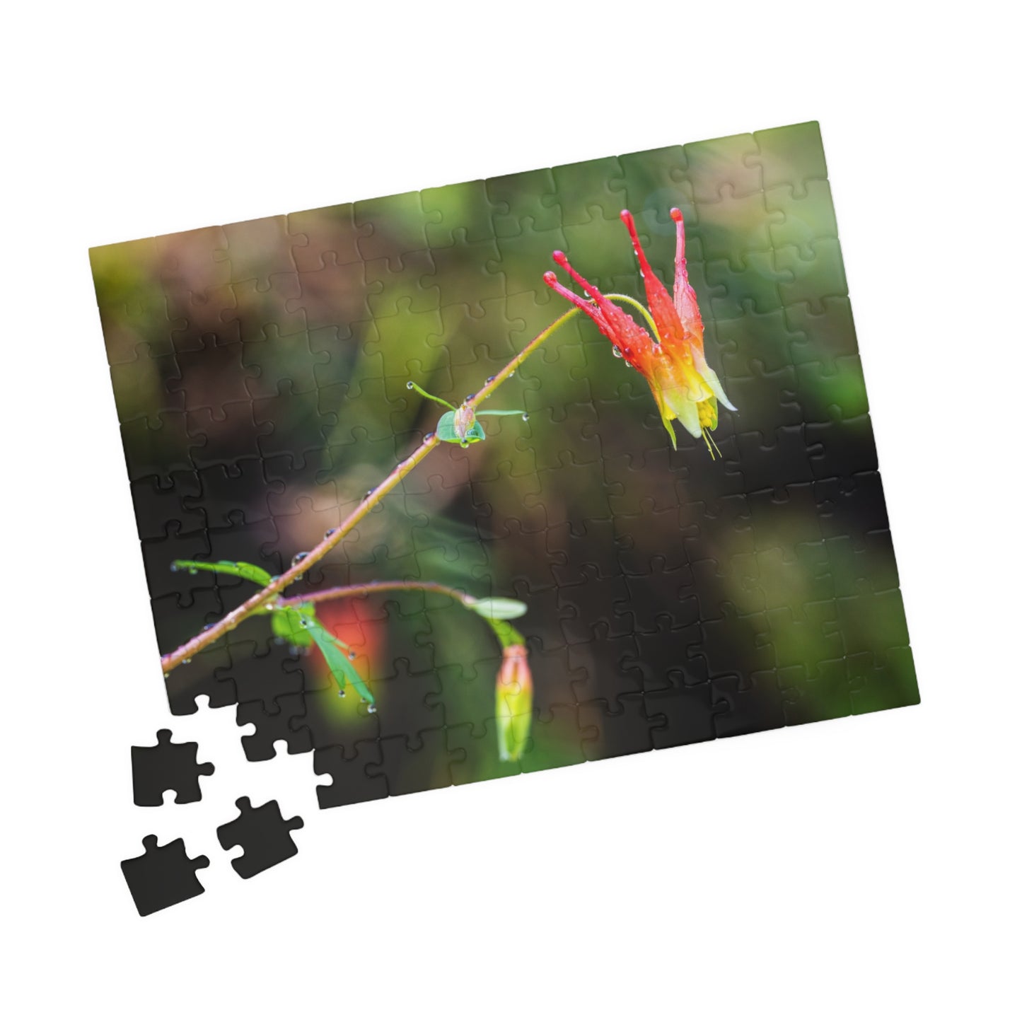 Western Columbine Photograph Puzzle (110, 252, 520,1014-piece)