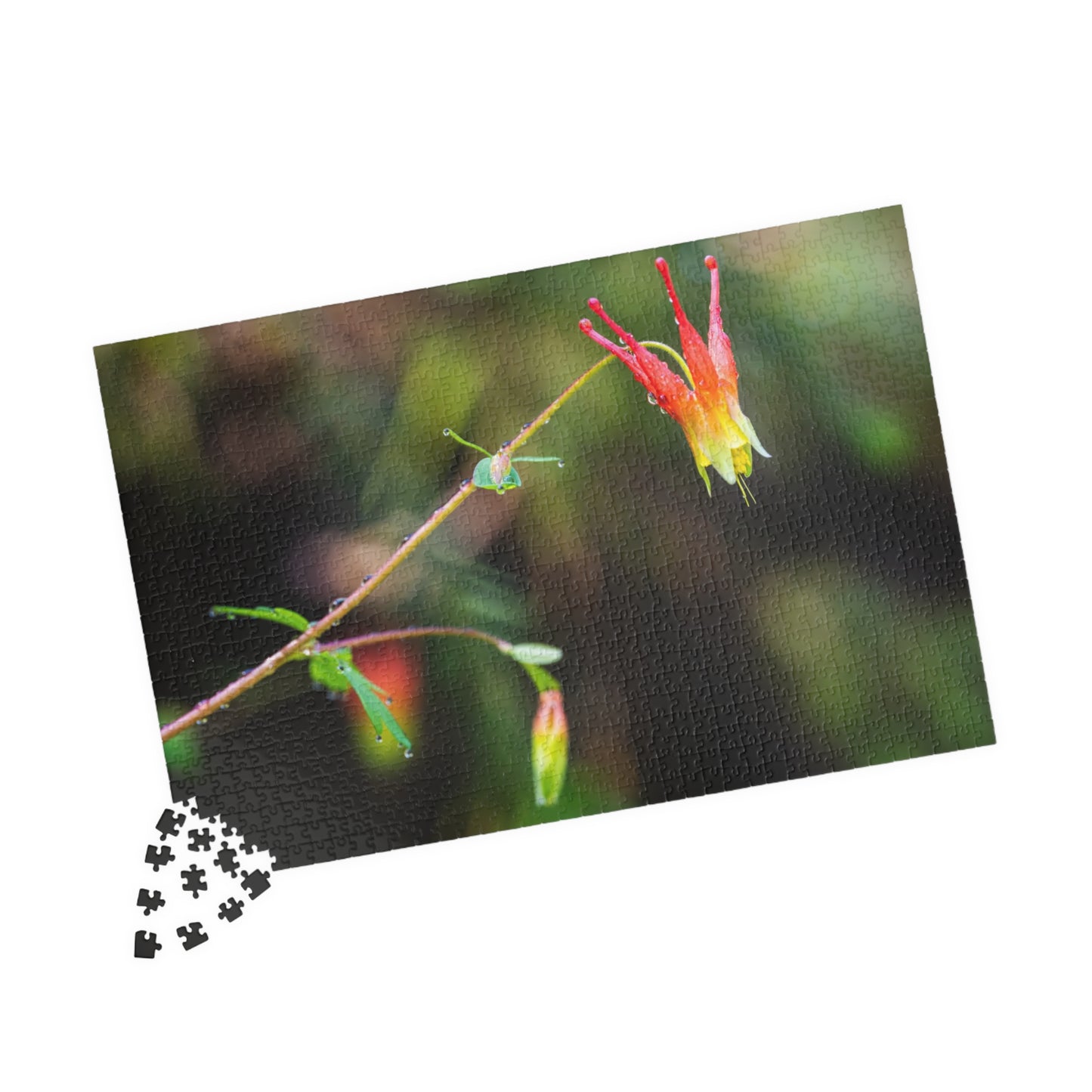 Western Columbine Photograph Puzzle (110, 252, 520,1014-piece)