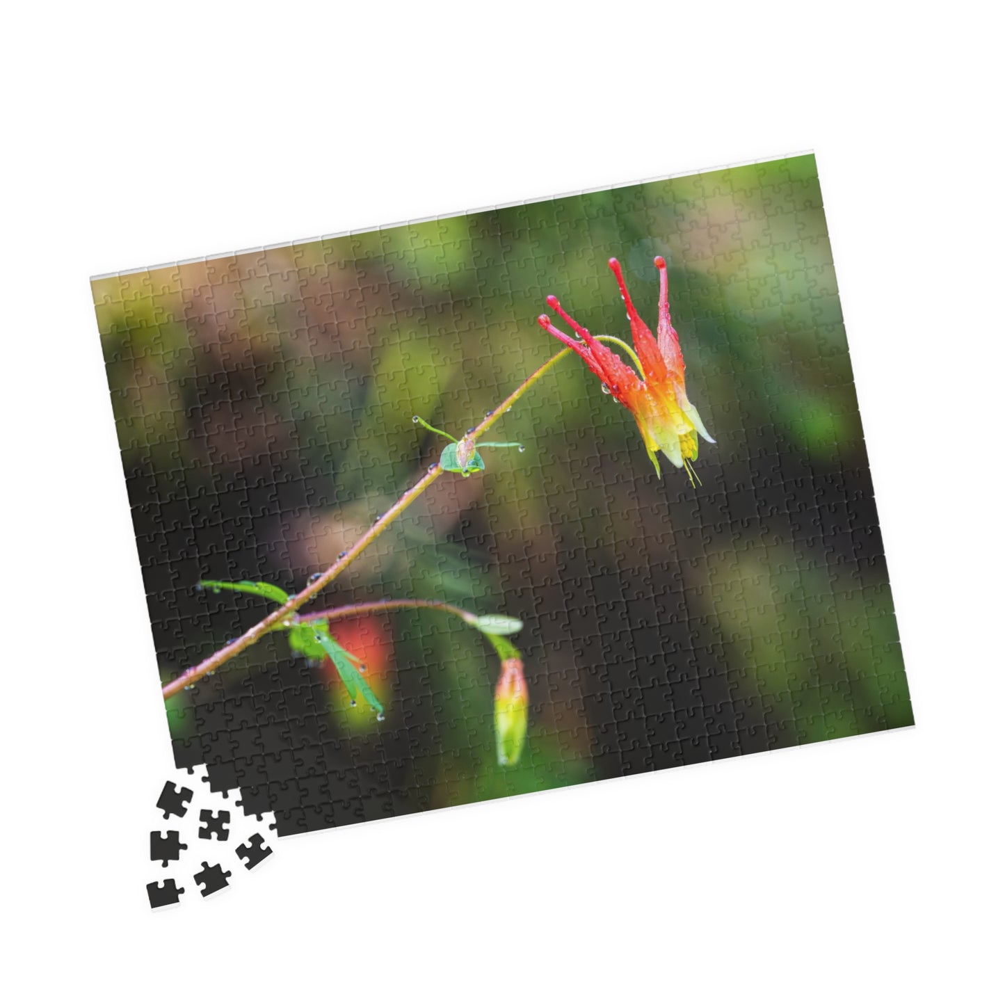 Western Columbine Photograph Puzzle (110, 252, 520,1014-piece)