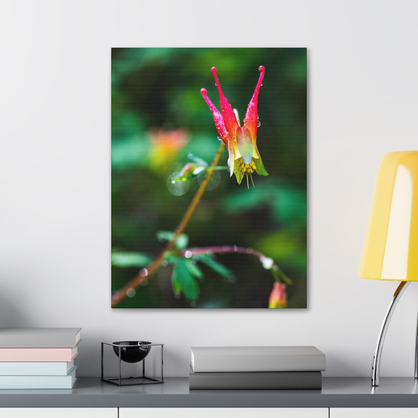 Western Columbine - Canvas Gallery Wraps