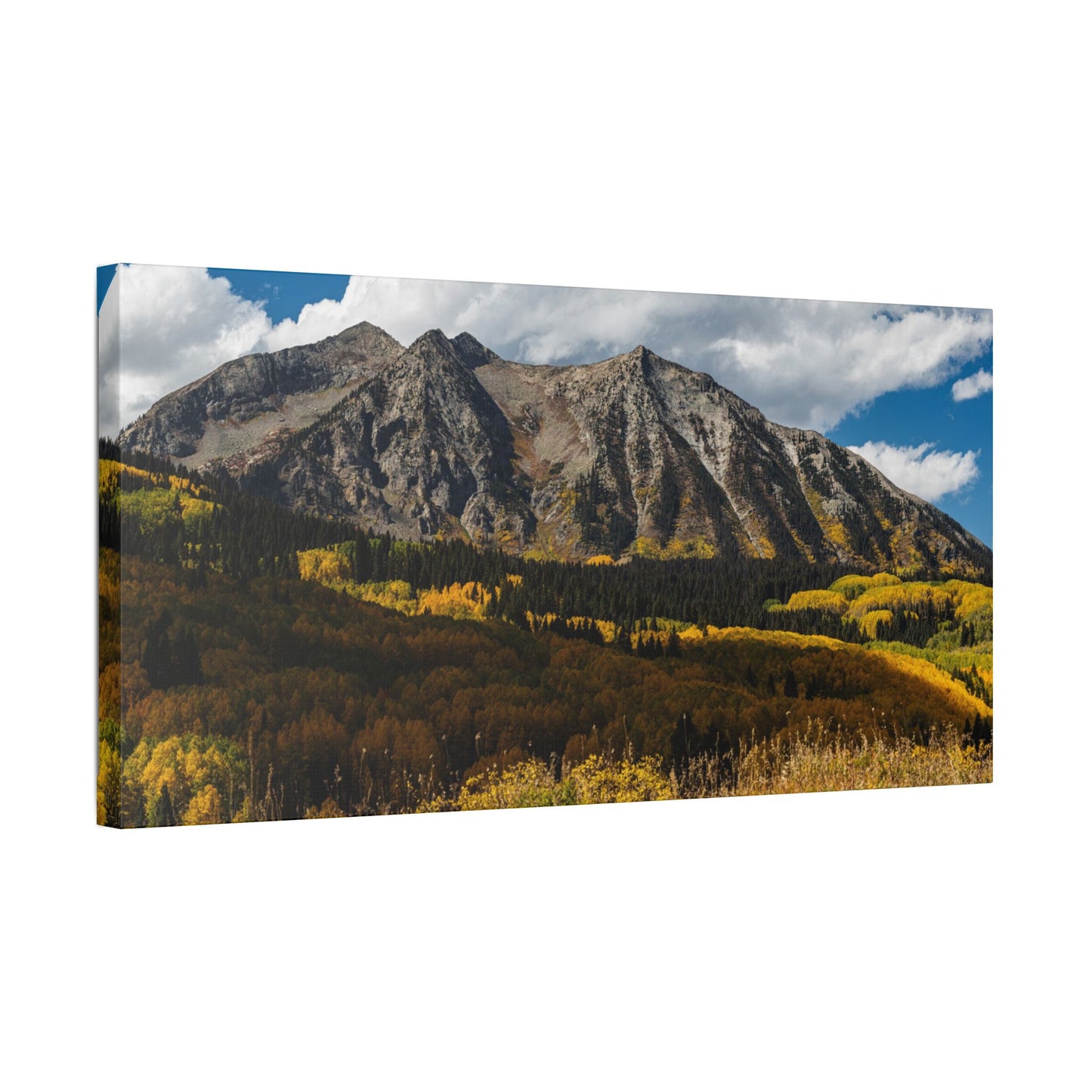 Kebler Pass in  Fall - Stretched Canvas