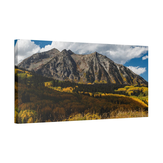 Kebler Pass in  Fall - Stretched Canvas