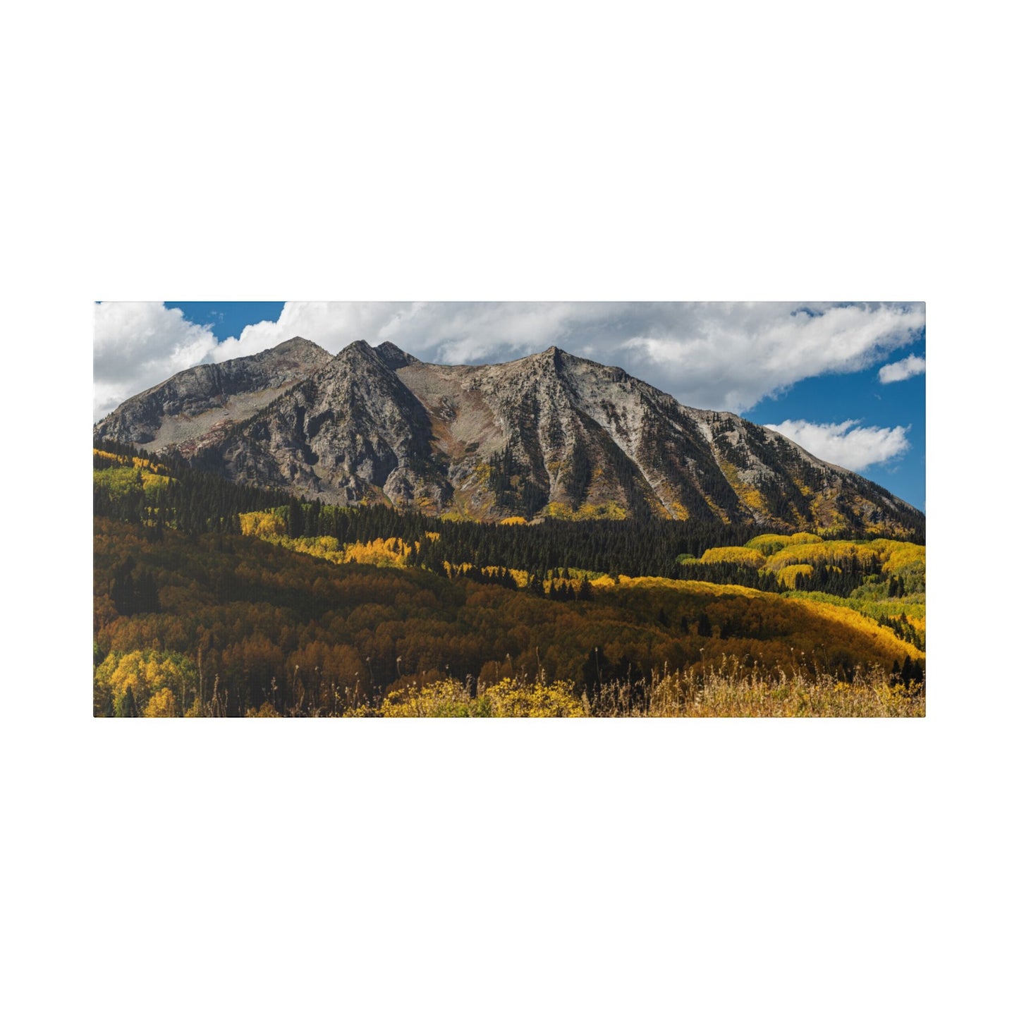 Kebler Pass in  Fall - Stretched Canvas