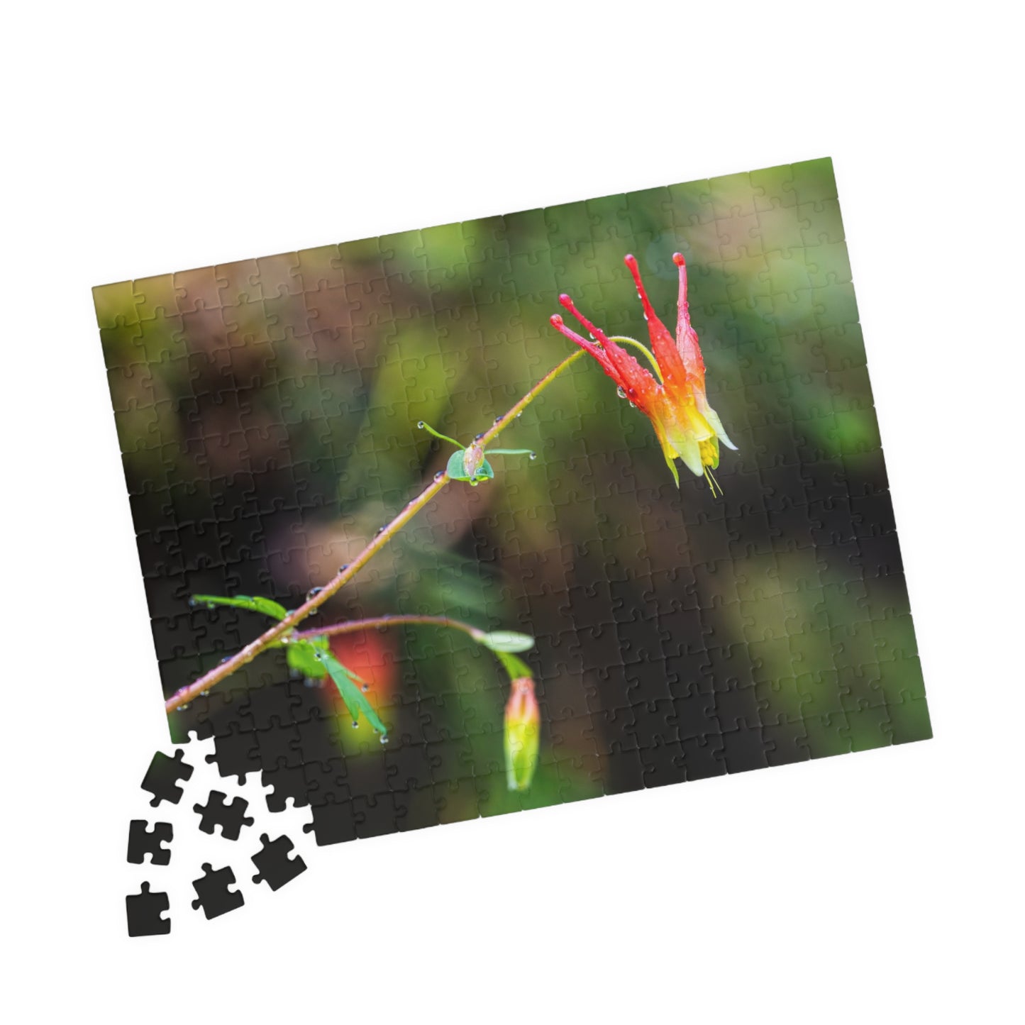 Western Columbine Photograph Puzzle (110, 252, 520,1014-piece)