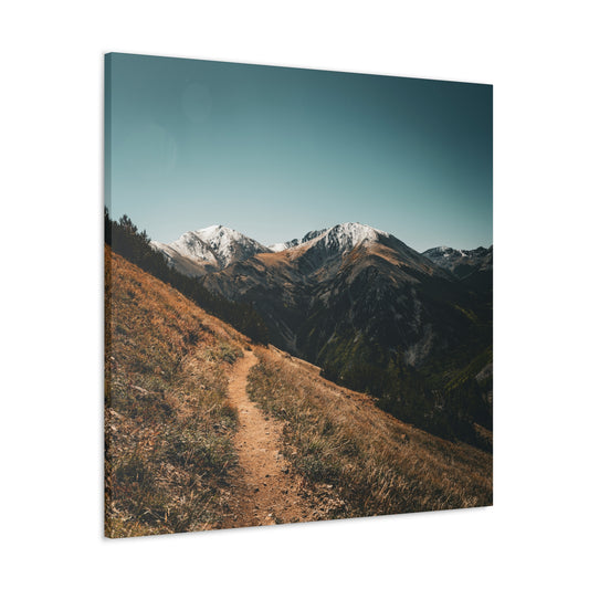 Hope Pass Trail - Canvas Gallery Wraps