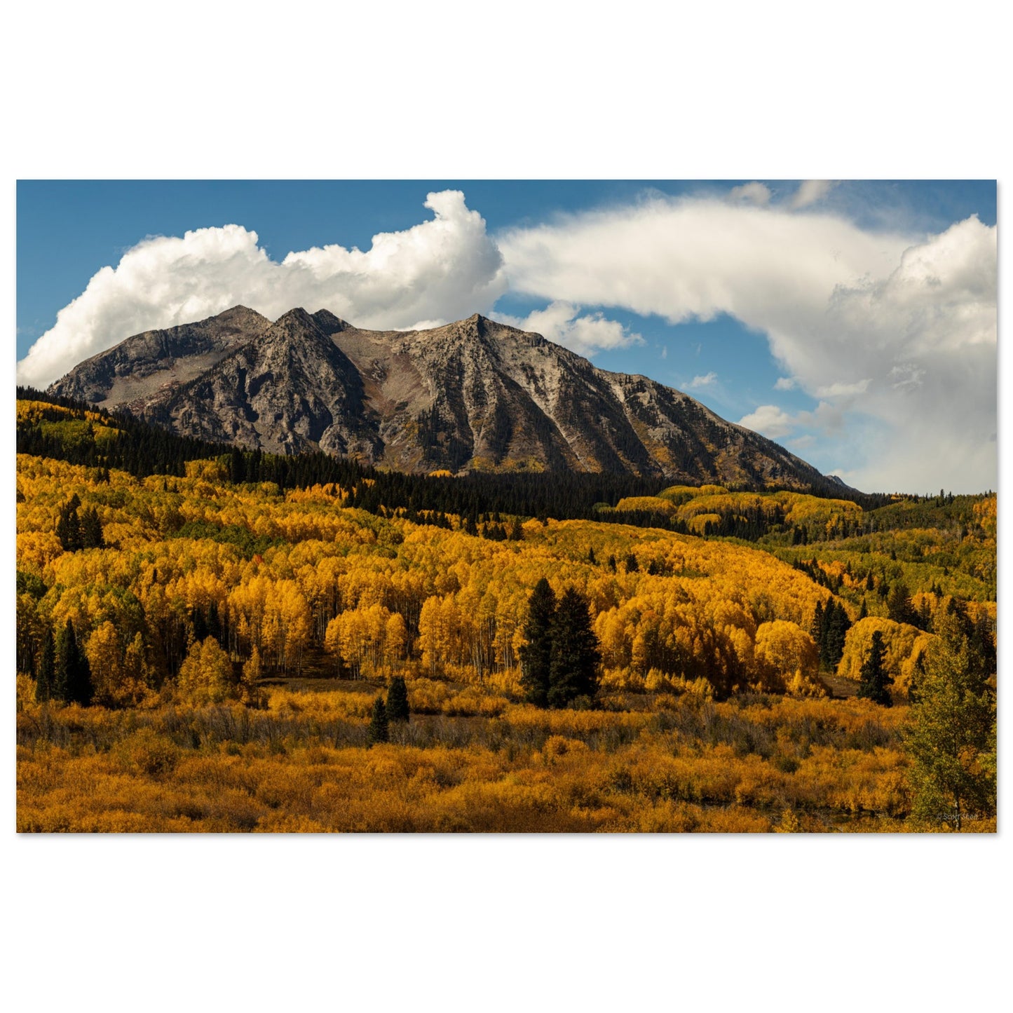 Kebler Pass - Fall Foliage