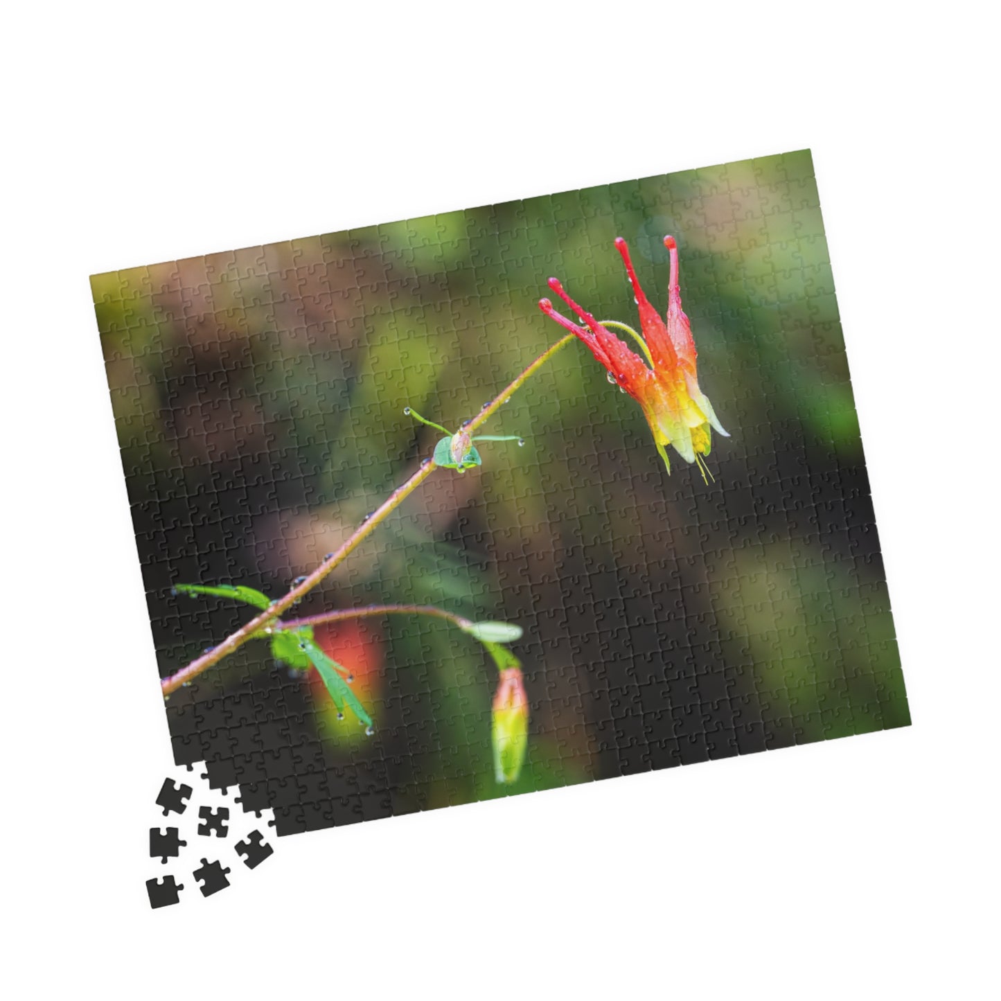 Western Columbine Photograph Puzzle (110, 252, 520,1014-piece)