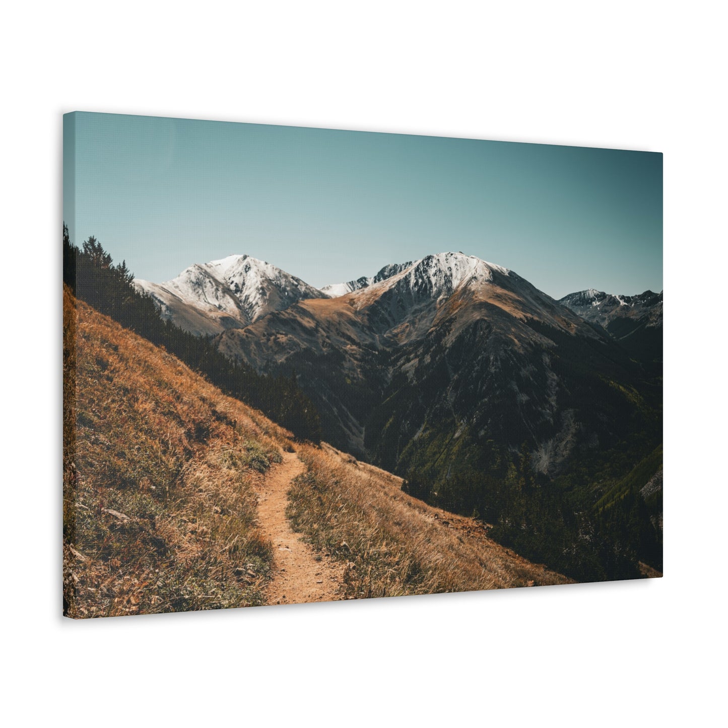 Hope Pass Trail - Canvas Gallery Wraps