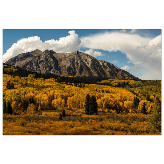 Kebler Pass - Fall Foliage